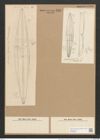 Amphiprora lepidoptera var. samaensis Grun. (de-Toni-Nr.: Genus 29, Species 1907) Zeichnungen Sammlung Grunow Nr. 2517 (NHMW-BOT-W0369685)